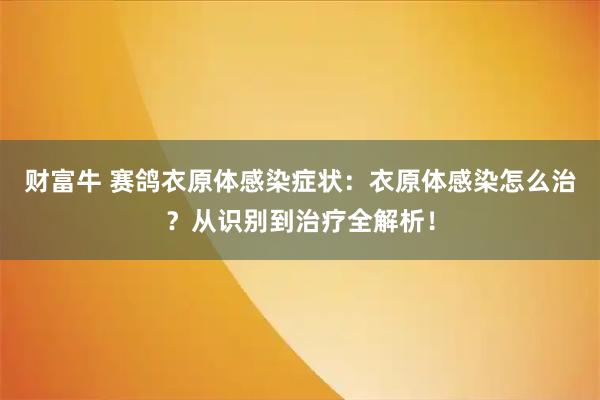 财富牛 赛鸽衣原体感染症状：衣原体感染怎么治？从识别到治疗全解析！