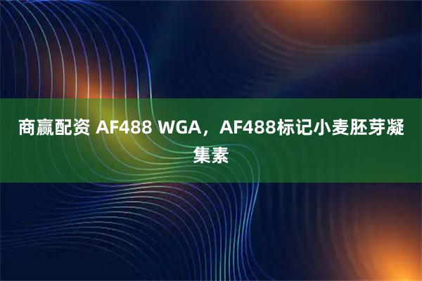 商赢配资 AF488 WGA，AF488标记小麦胚芽凝集素
