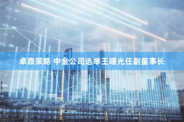 卓鼎策略 中金公司选举王曙光任副董事长