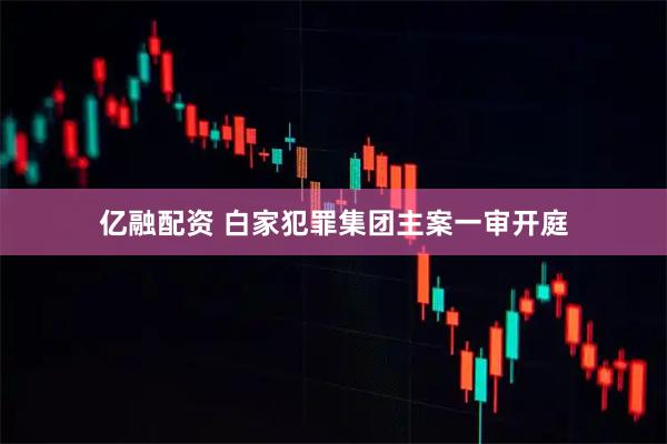 亿融配资 白家犯罪集团主案一审开庭