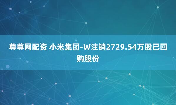 尊尊网配资 小米集团-W注销2729.54万股已回购股份