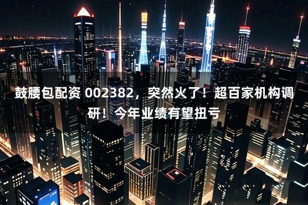 鼓腰包配资 002382，突然火了！超百家机构调研！今年业绩有望扭亏